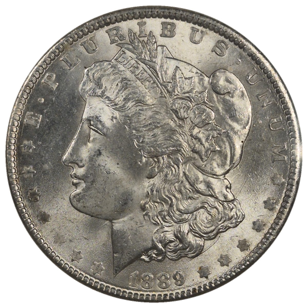 1889-$1-Morgan-Dollar-#14